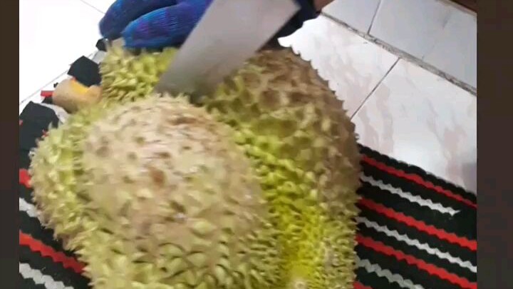 ผ่าทุเรียน