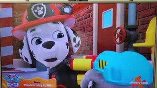 Paw Patrol: Pup-mania Mondays with New Episodes & Specials This Morning at 11am On Nickelodeon Promo