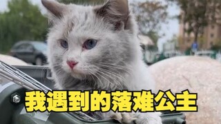 我遇到的落难公主