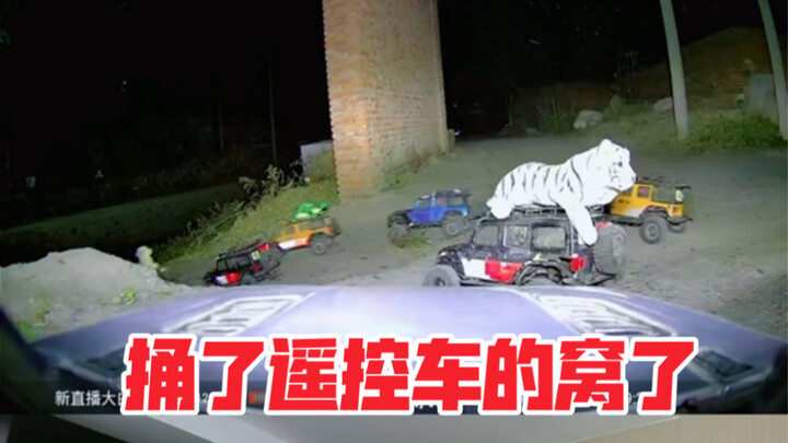 这是谁捅了遥控车的窝了