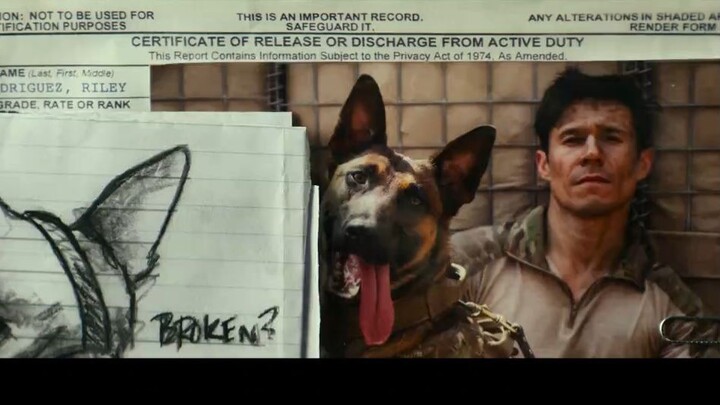 DOG FULL MOVIE TAGALOG