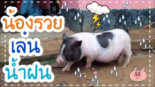 เพิ่งรู้นะเนี่ยน้องรวยก็ชอบเล่นน้ำฝน555จัดไปลูก..พ่อ...🌧🌦🤣😅😂🐖