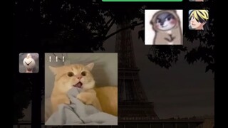 兄弟是留着，饥不择食时用的