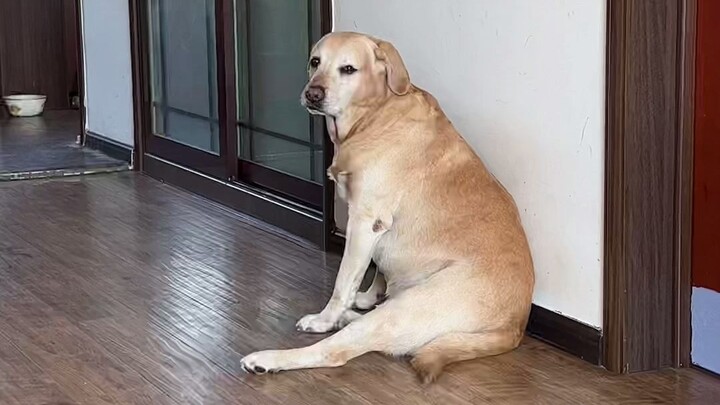 Tetap tampil rapi meski isolasi di rumah!