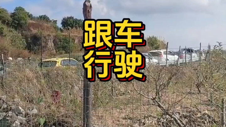 😂 CSGT cũng ngơ luôn!