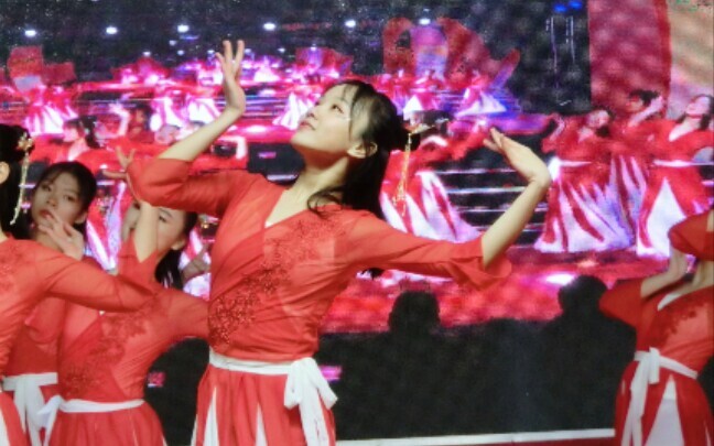 [Flowers Falling] Flowers falling in the city like you looking back~