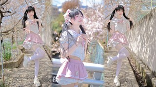 过年小女朋友没带回家？那就给咱爸妈看这个！和我交往吧！【可心喵】