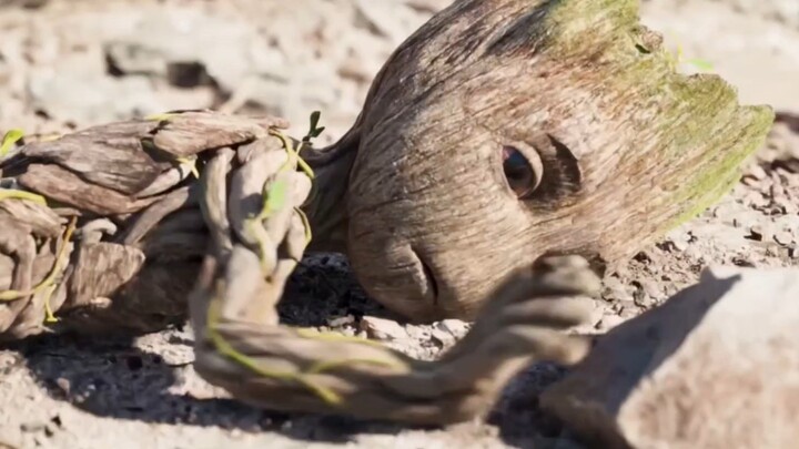 Tiểu Groot lại phát hiện ra một bầy tiểu nhân!