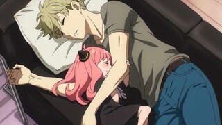 Spy x Family「AMV」- ขอโทษ