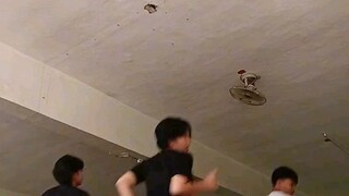 dances