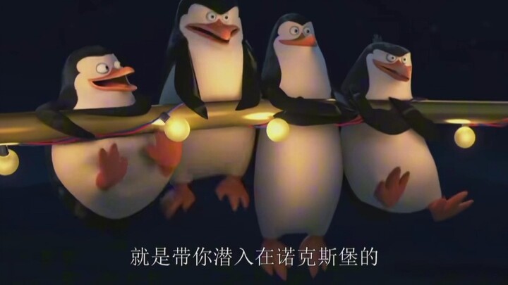 菜鸟对老大来说是很特别的存在