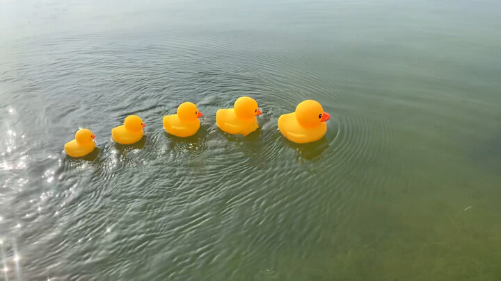 Rubber Duck Boat