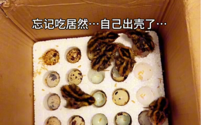 ทำยังไงดี ช่วยฉันที!