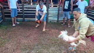Datag Arena (Hackfight) Loss