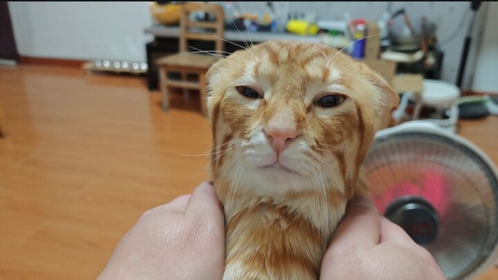 Ừm~ là Hakichanmi của núi Miaomiao đó~