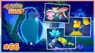 Level 1 Florio Secret Side Path *Night* | New Pokemon Snap - Part 66 (No Commentary)