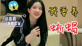 ليو شي نينغ: أنا سأربي سحلية؟! من سيسيطر على الأخت ليو!