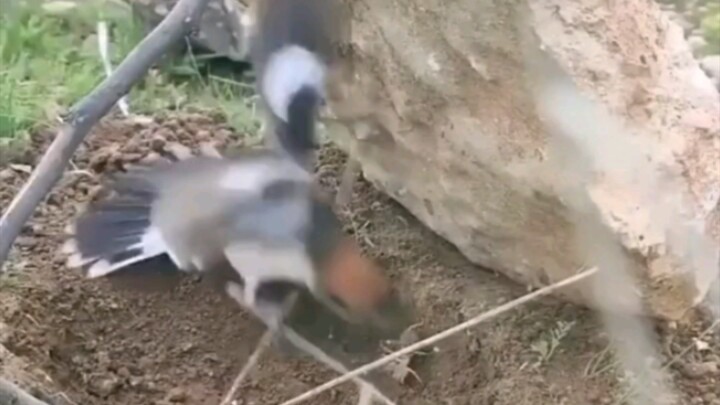 In martial arts, speed is invincible! You really wouldn’t notice unless you watch it in slow motion…