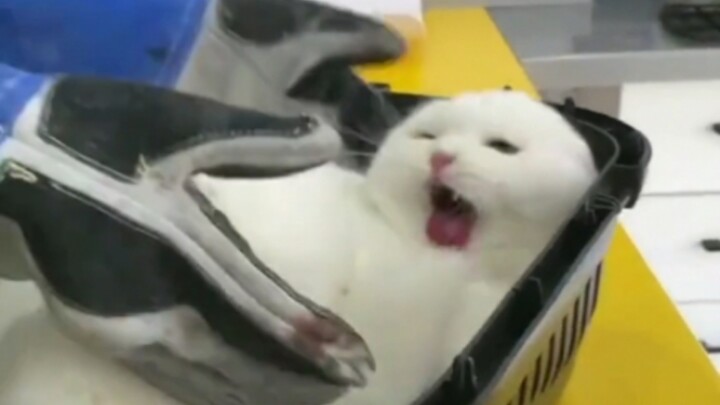 Strained Doctor-Patient Relationships