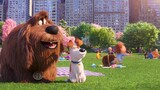 THE SECRET LIFE OF PETS 2 (2019) PLEASE FOLLOW FOR MORE MOVIES