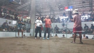 2 hits ulotan sulat arena