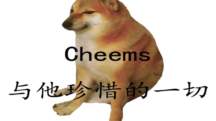 cheems找到了他珍视的一切