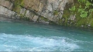 cast netting in Nepal | himalayan trout fishing with handmade cast net |