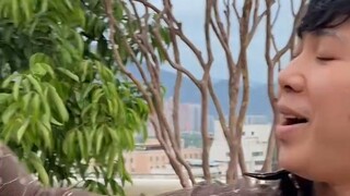 Món nợ tuổi thơ của Tiêu Lão