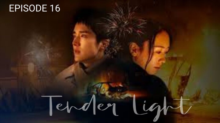 🇨🇳 | EP 16 Tender Light (2024) English Sub