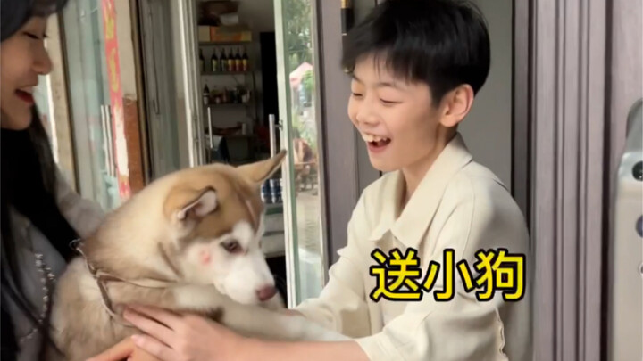 When I gave DianDian a Husky