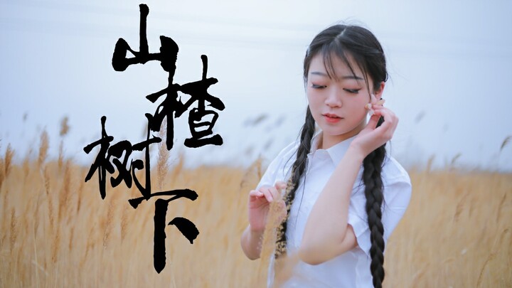 【Thiên Tuế】Dưới gốc táo gai