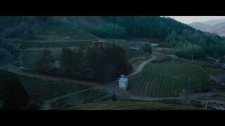 The Call ( 2020 )