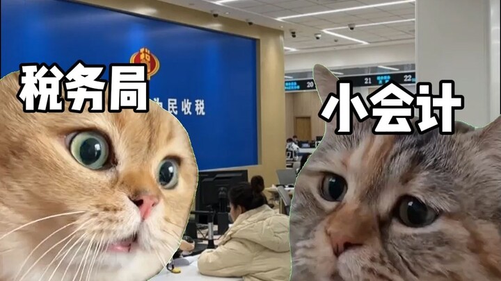 Lần đầu làm kế toán, suýt nữa không bước nổi ra khỏi cửa cục thuế