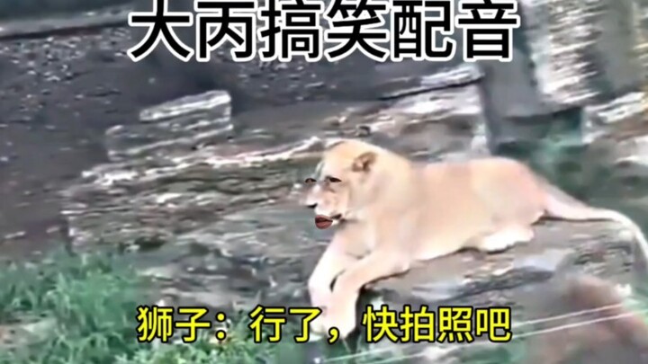 Sư tử: Được rồi, chúng ta chụp một bức ảnh nhé.