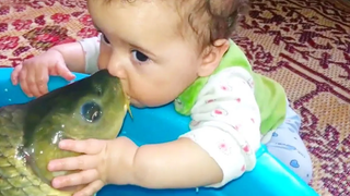 พยายามอย่าหัวเราะ ปฏิกิริยาตลกของทารกพบปลาเป็นครั้งแรก วิดิโอตลก