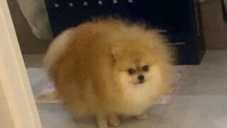 Although, I also know it's a bit... you know, but I just can't help myself from posting it because i