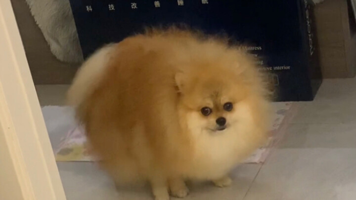 رغم ذلك، أعلم أيضًا أن الأمر قد يكون محرجًا بعض الشيء، لكنني حقًا لا أستطيع التوقف عن نشره لأنه لطيف