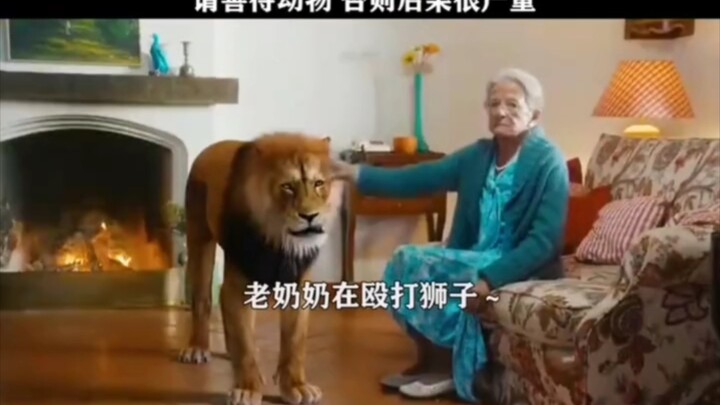 Old lady beats up a lion—yes, you read that right!