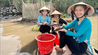 Cô Tư Dở Dớn Trúng Mánh Toàn Cá Ngon Đem Cho Cháu Nấu Bữa Cơm Chiều | NĐMT#213