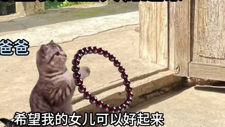 The daughter who married far away suddenly returned home, just wanting to be with her parents at the