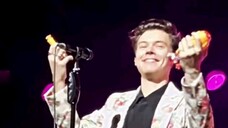 Harry is such a sweetheart