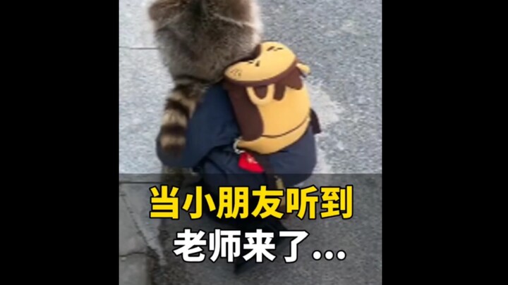 ตอนแรกฉันนึกว่าเป็นสัตว์ตัวเล็กๆ แถมยังคิดในใจอีกว่าครูจะมายุ่งอะไรกับเรื่องนี้ด้วยนะ!!