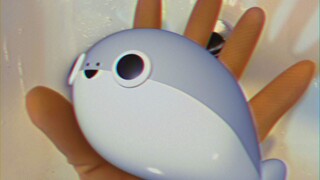 Tell you how to catch one in ten seconds (◉▼◉ ﾐ)Э