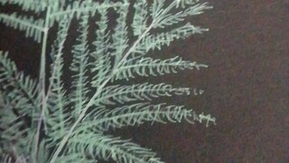 Conteng ² diatas kertas hitam