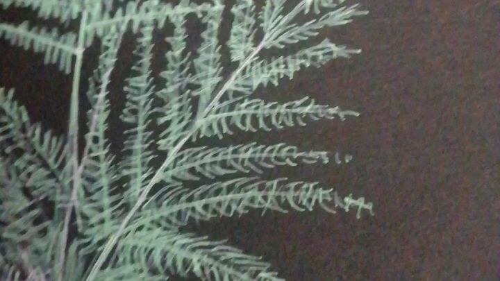 Conteng ² diatas kertas hitam