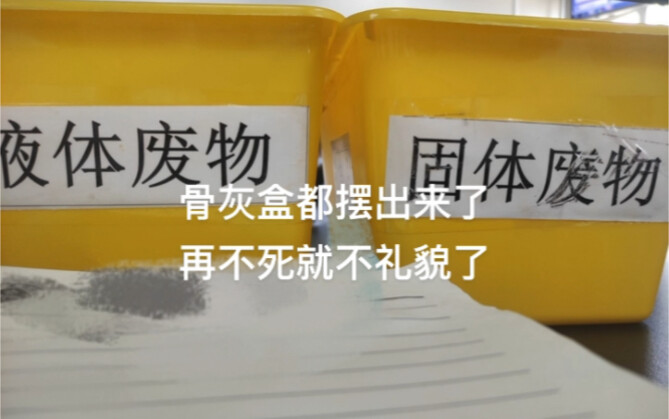 大学生平等地憎恶每一个物种2.0