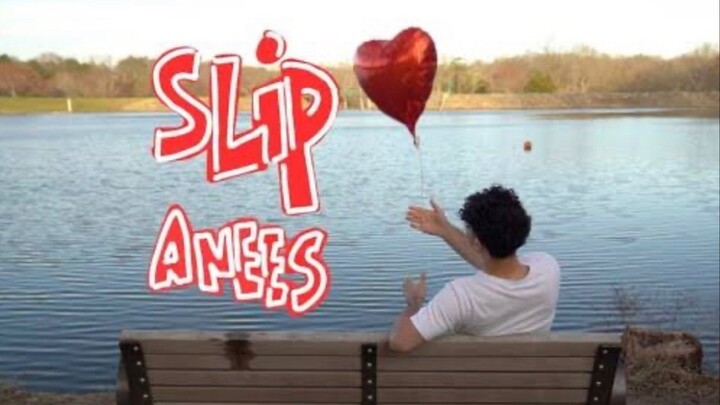 Slip Song lyrics by anees
