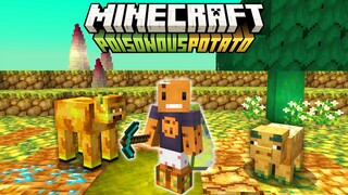 Can You Beat Minecraft in a Potato ONLY World?