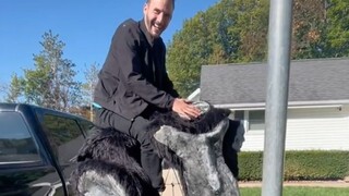 [Finally got a new mount]