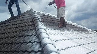 เปลี่ยนสีหลังคา